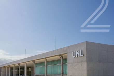 Investigación